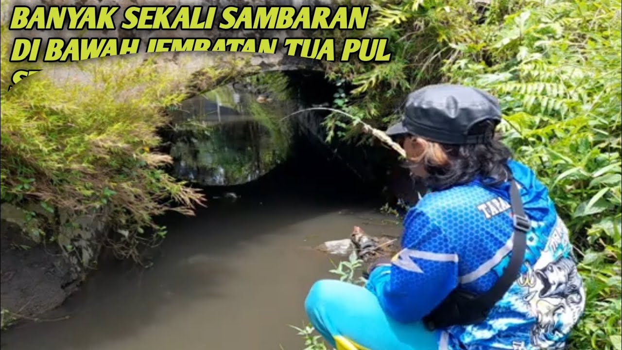 Di bawah jembatan tua di sini banyak sambaran ikan babon babon