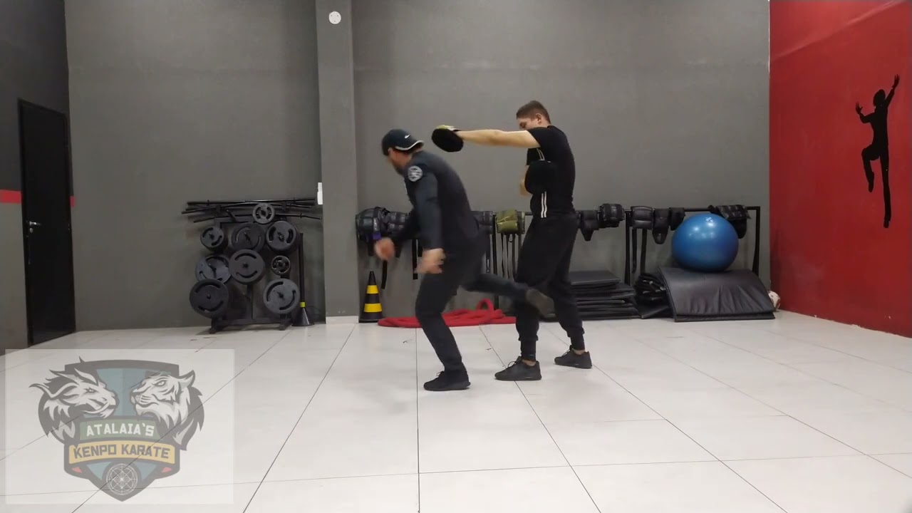 Shield and sword - Kenpo karate - Atalaia's Kenpo Karate Brazil