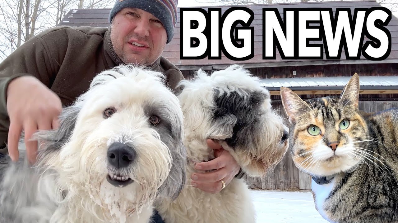 All Good Things Come to an End -  Farm Vlog