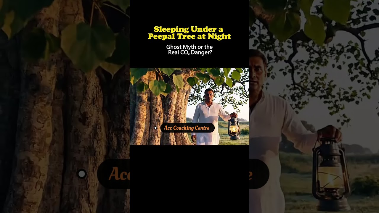 Sleeping Under a Peepal Tree at Night: Ghosts or Real CO₂ Science? 