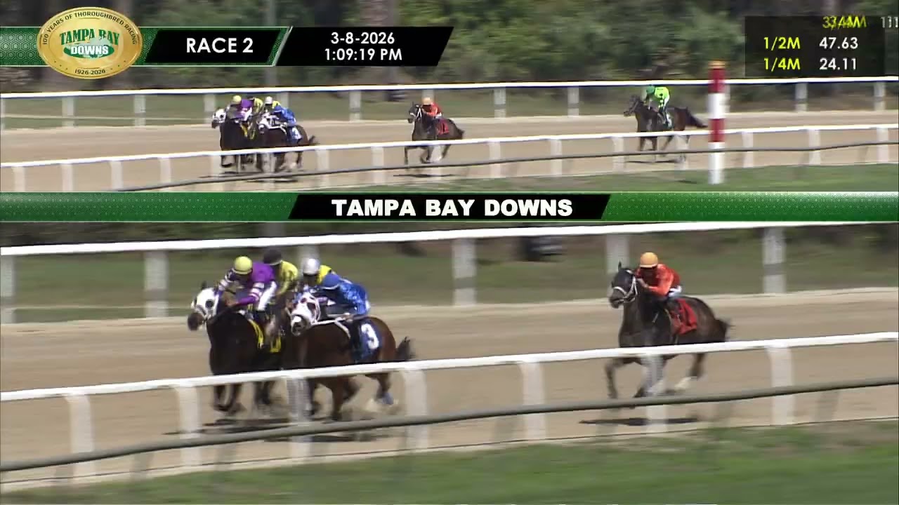 March 8, 2026  Race 2