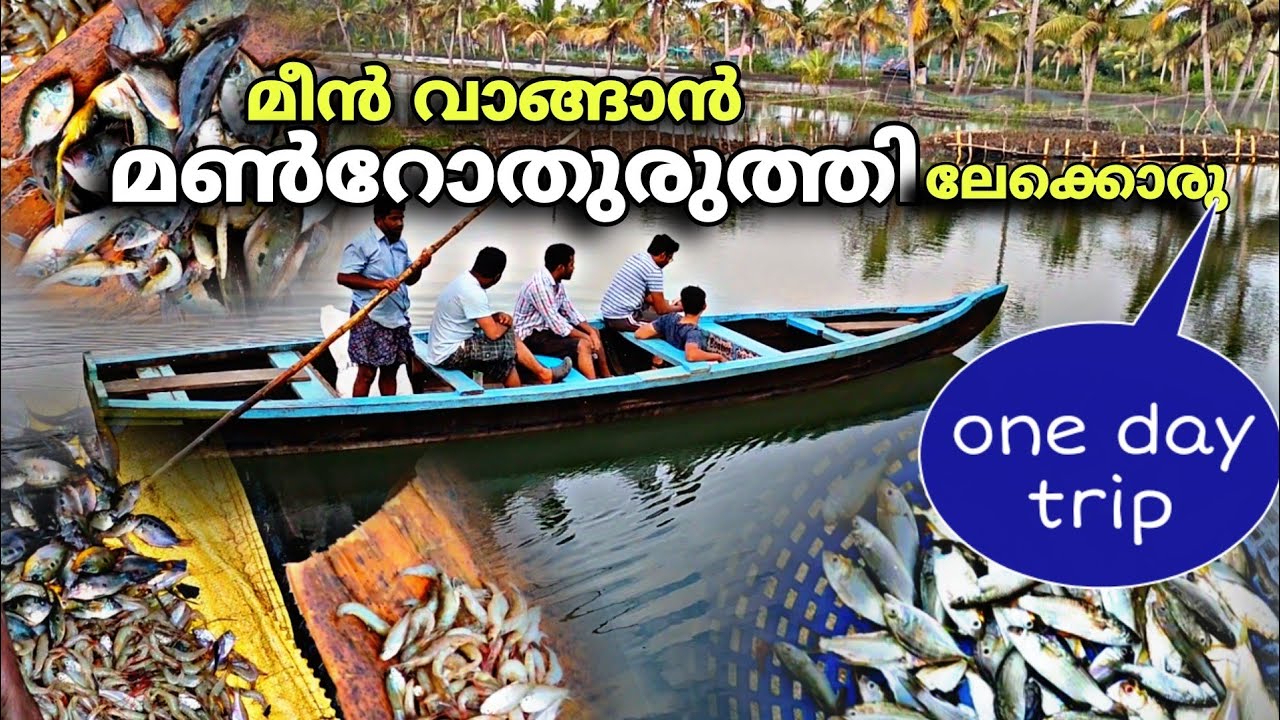 മീൻ വാങ്ങാൻ ഒരു oneday trip പോയാലോ..!!  | munroe island | munroe island fishing | fish | fish market