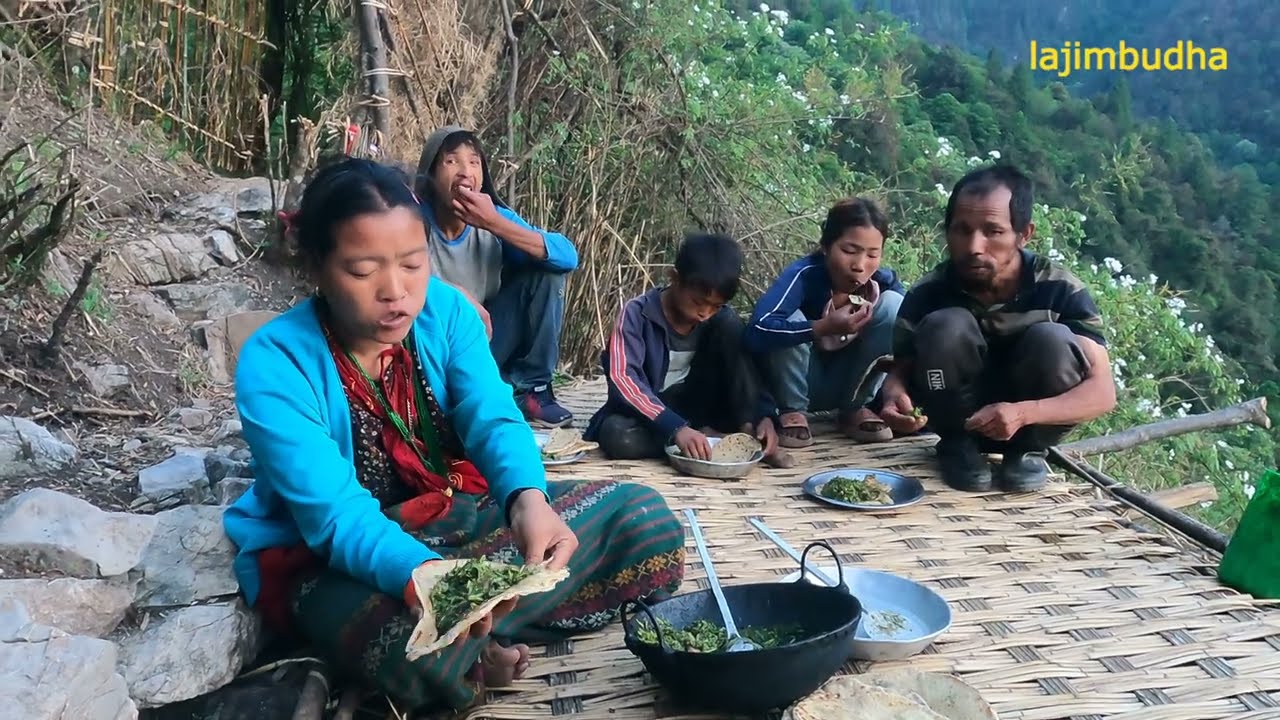 hunt wild vegetable for organic food || lajimbudha ||