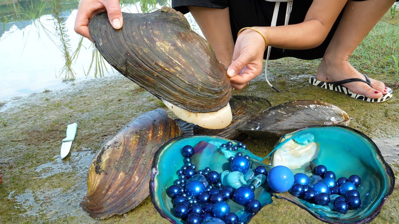 😱 Riverbed Enigma Solved: Girl Finds Giant, Pearl-Bursting Clam, Unleashing Nature's Glory!