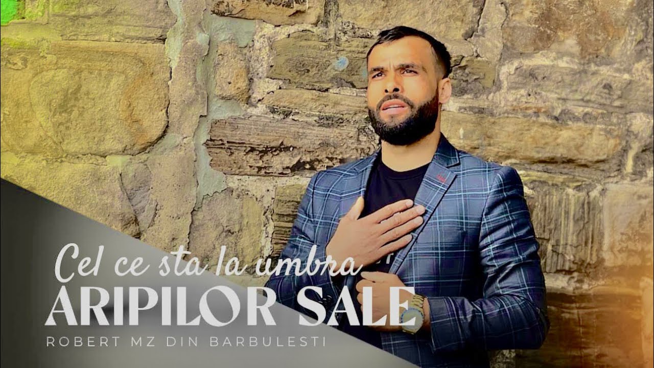 Robert Mazarache - Cel ce stă la umbra aripilor sale (NOU 2024)