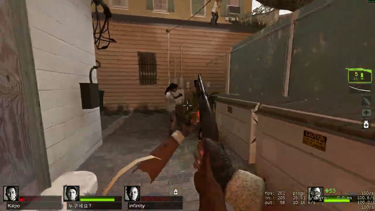 Left 4 Dead 2 KR pug