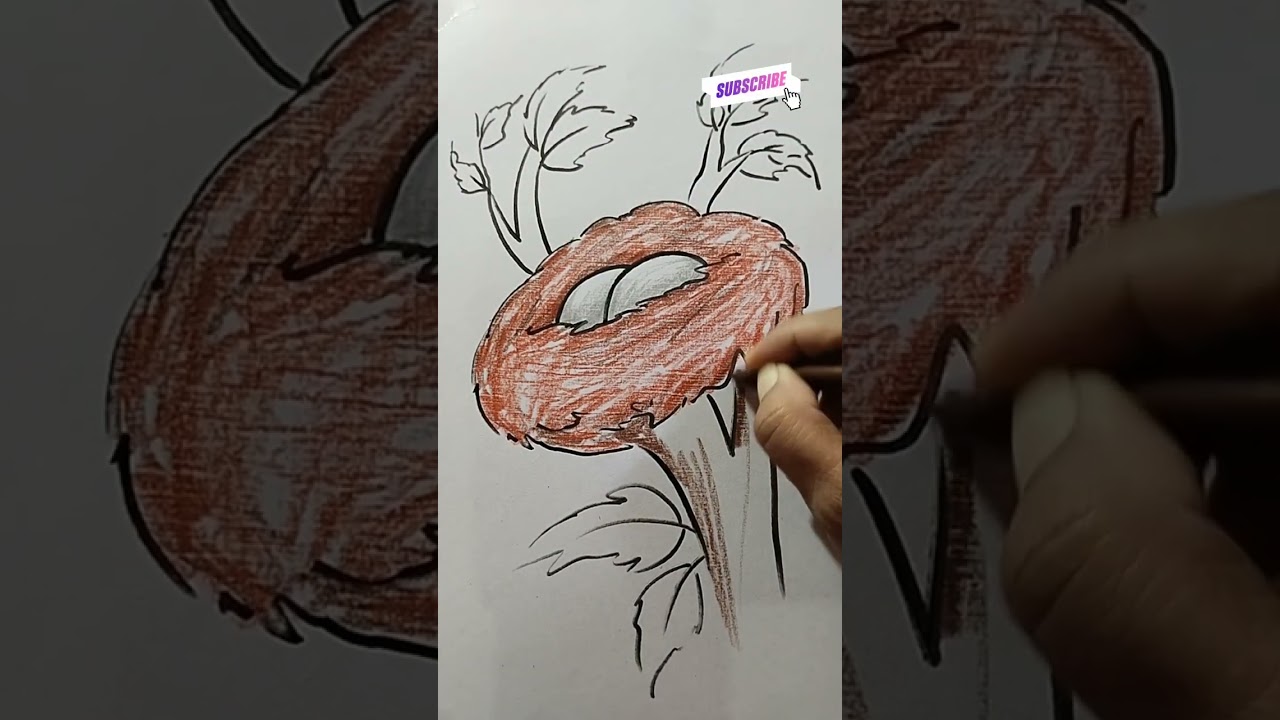 how to draw nest l Nest drawing and colouring for beginners