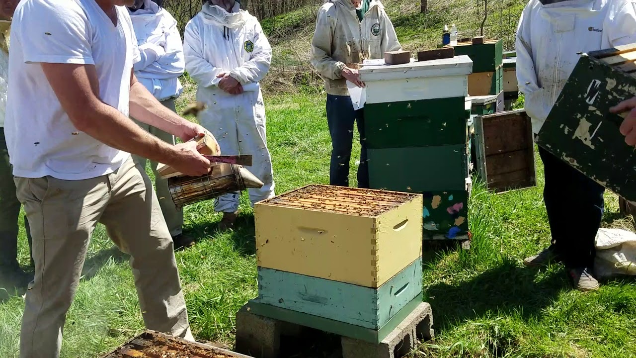 vermont Beekeepers workshop