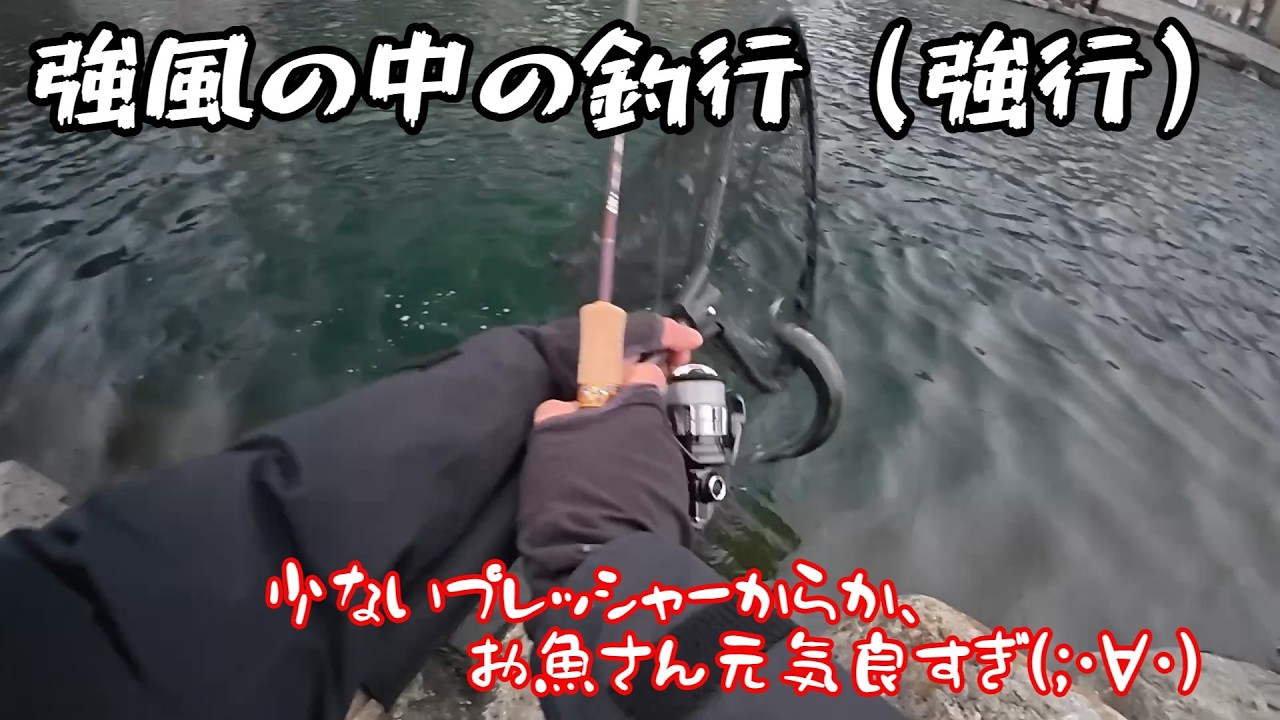 【朝霞ガーデン】２月７日釣行記録【エリアトラウト】
