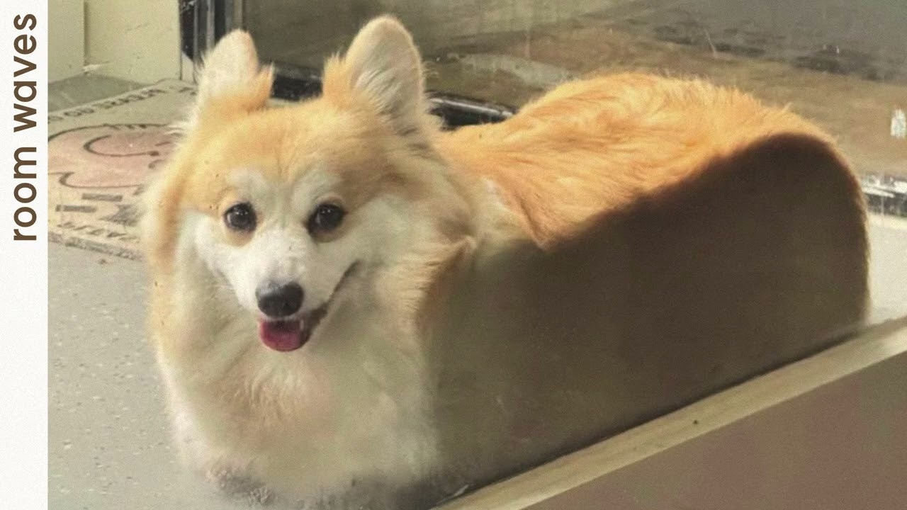 fluffy loaf