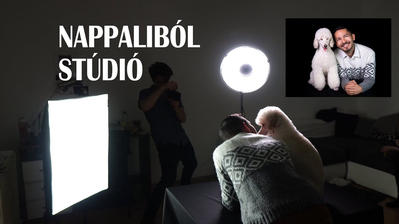 Hogyan csinálj a nappaliból fotóstúdiót | Kutyafotózás videósorozat 2. rész
