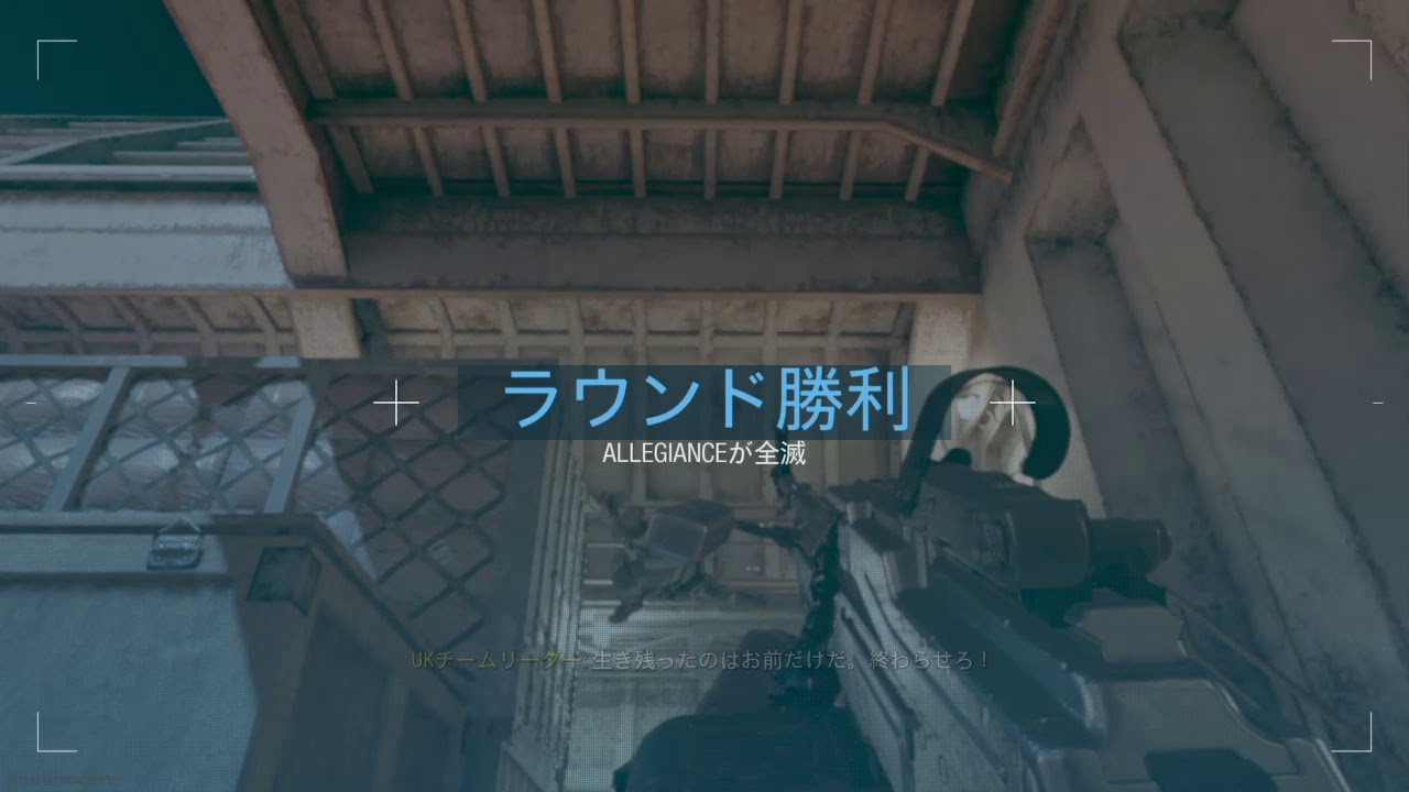 ガンファ野良