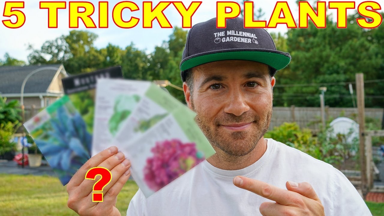 5 Cool Weather Crops You've Been Growing WRONG [And How To Fix It]