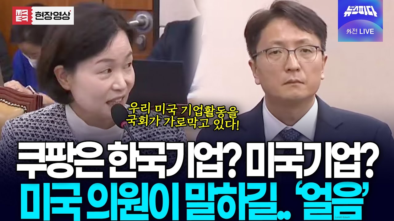 쿠팡은 한국기업? 미국기업? 미국 의원 말 전해주자 '얼음'