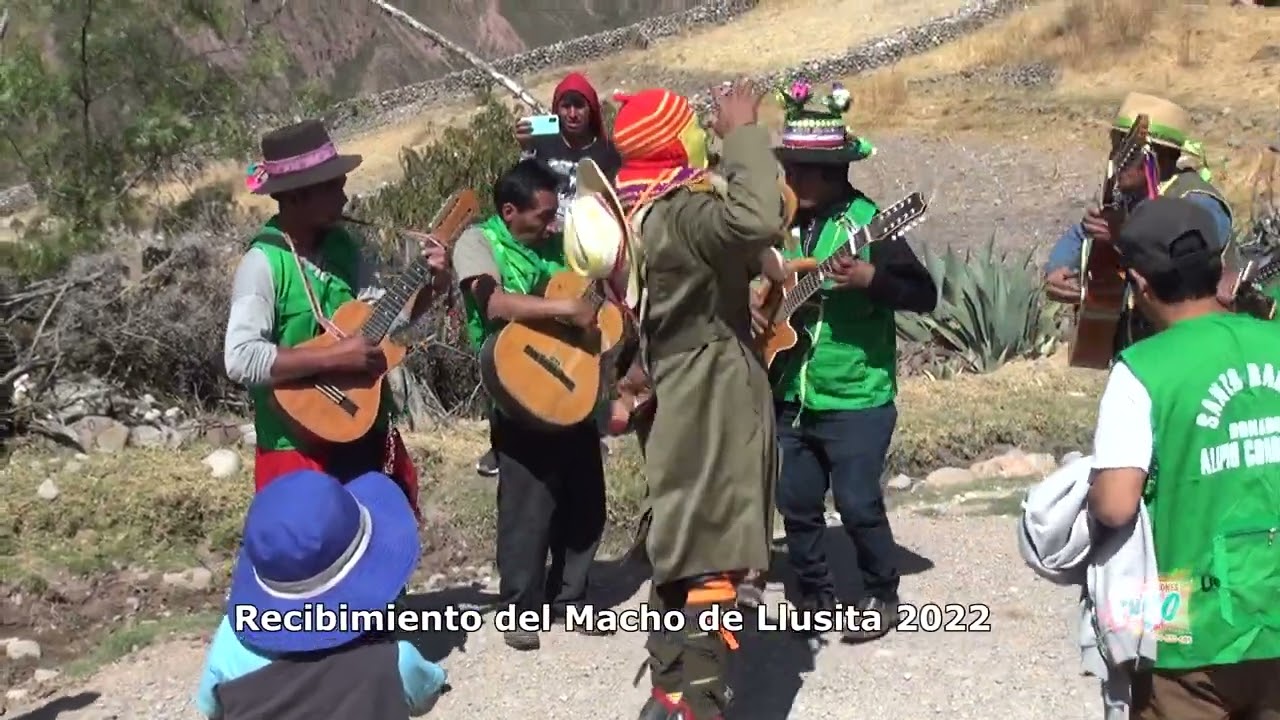 RECIBIMIENTO DEL MACHO EN HONOR DE VIRGEN DE COCHARCAS  LLUSITA 2022