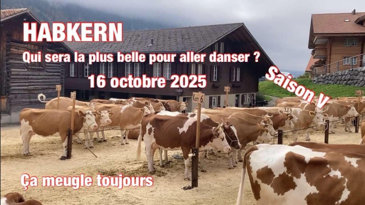 Habkern - Qui sera la plus belle pour aller danser ?