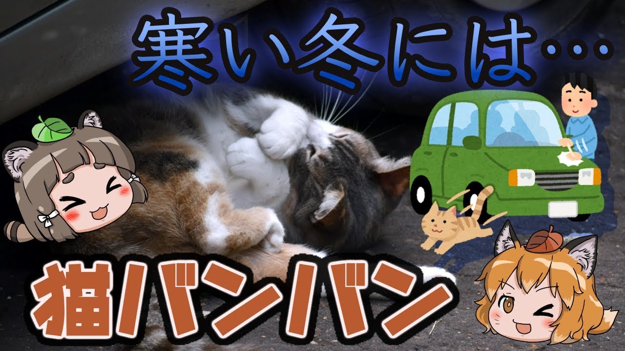 【ゆっくり解説】冬場の「#猫バンバン」ってなんなんだ？日本発の優しい取り組み