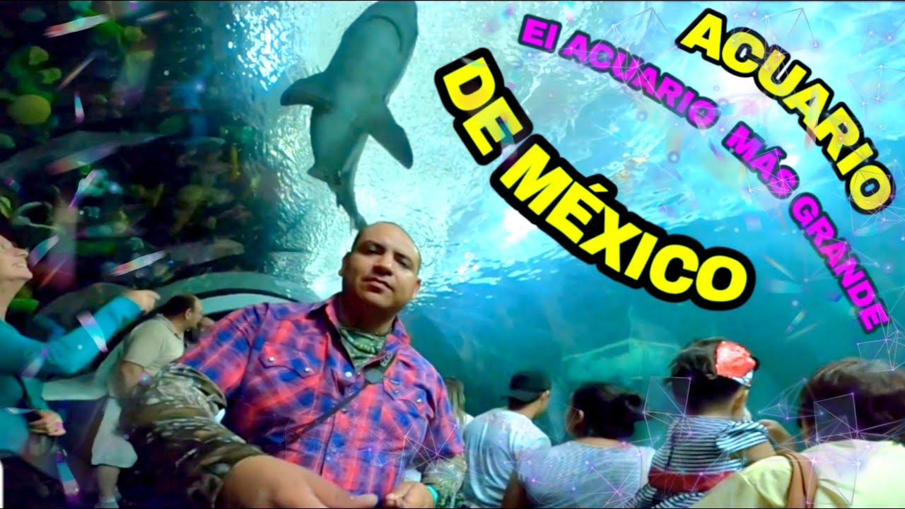 EL ACUARIO MÁS GRANDE DE MÉXICO (Acuario de Veracruz).
