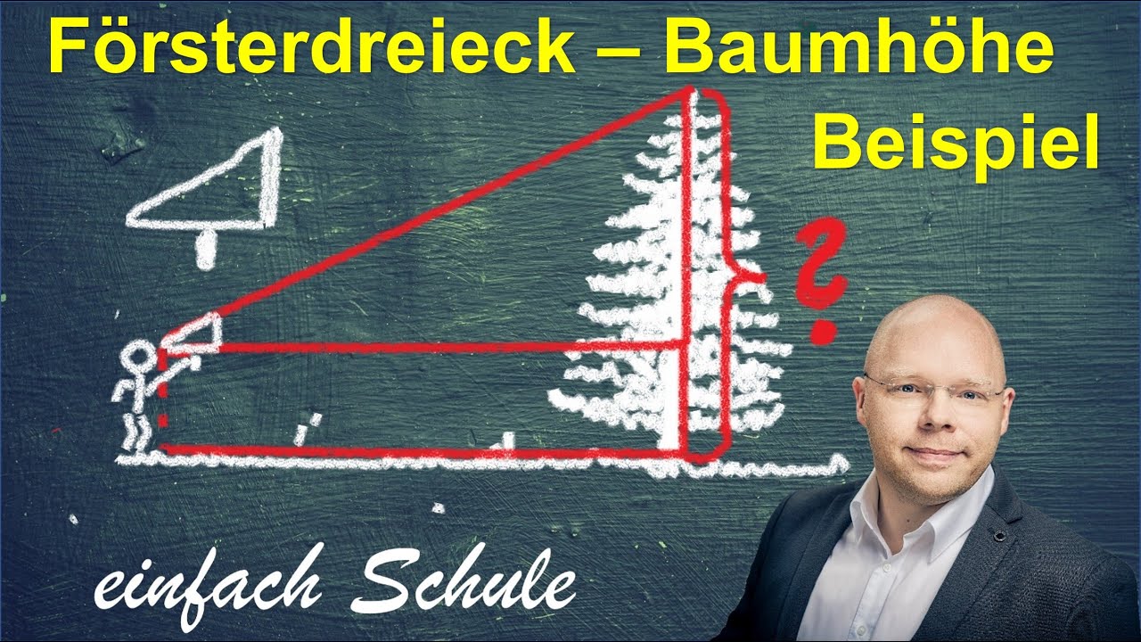 Försterdreieck, 1. und 2. Strahlensatz | einfach erklärt