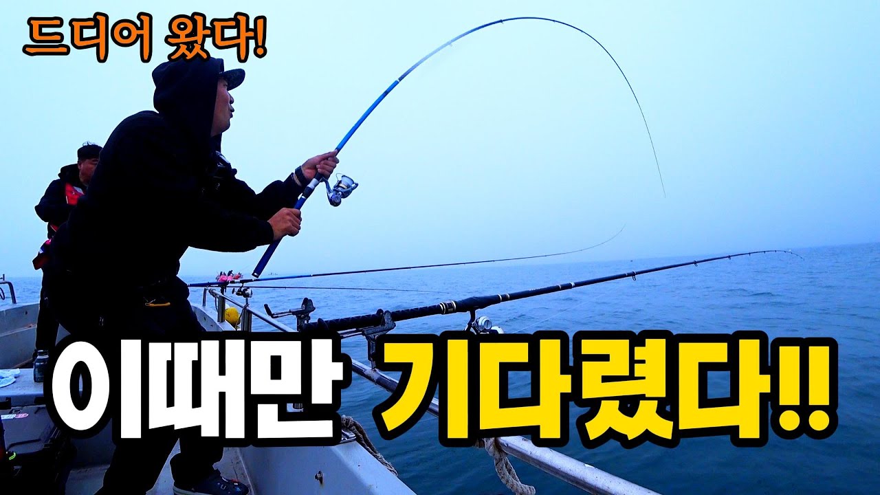 이시기에 유독 대물이 많이 잡힌다는 풍화리 꼬라박기!!