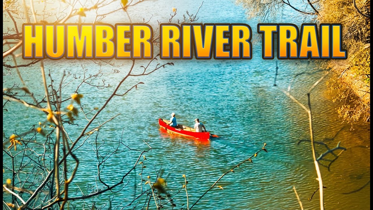 Sunny Walk Along Humber River 🌿 Forest Trail in Toronto | Birds Singing & Nature Sounds 4K