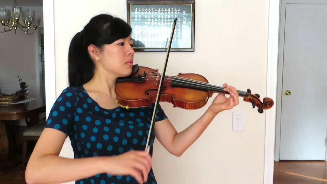 Animals by  Maroon 5 - Violin Cover