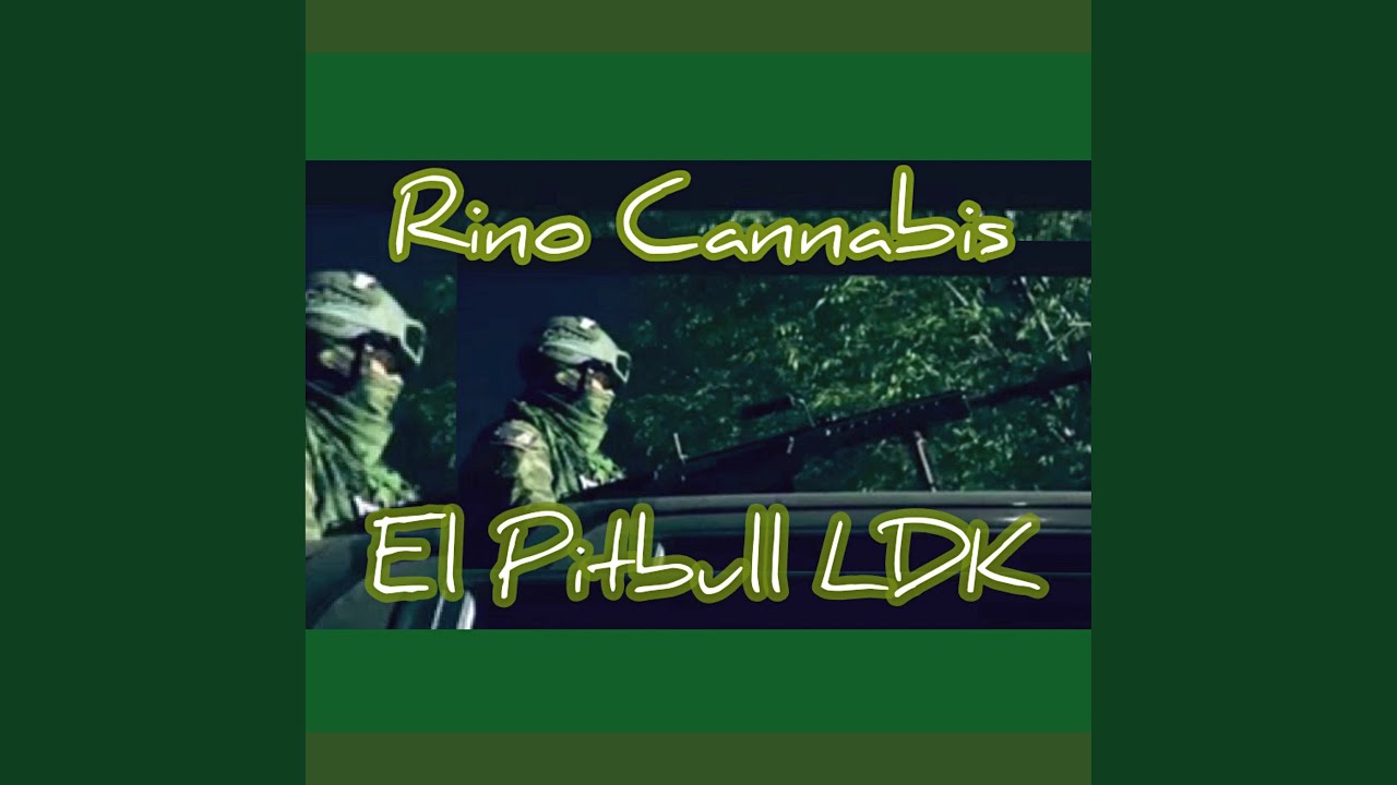 Rino Cannabis