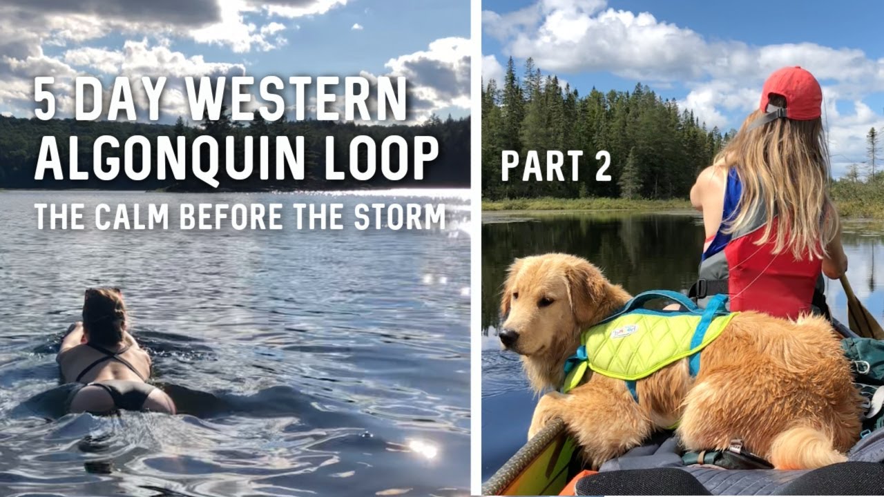 5-дневный поход на каноэ в дикой местности в Алгонкин-парке, от тумана до Джубили, ЧАСТЬ 2. Затиш...