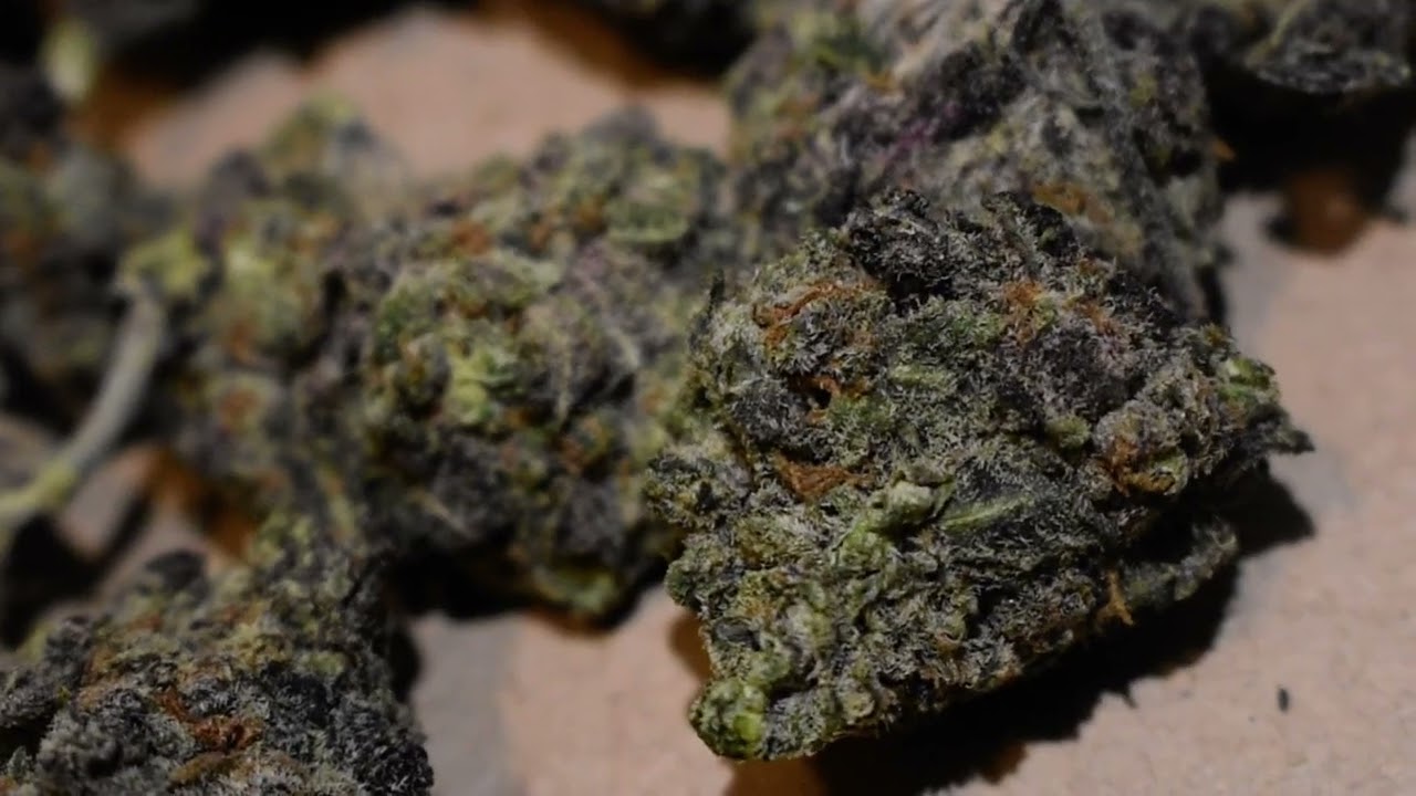 super pink exotic strain @brucec5903