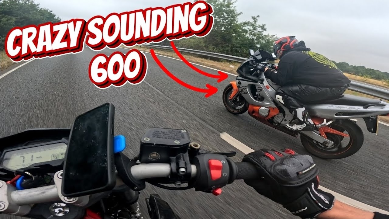 Joined by a crazy thundercat - calm ride with yaboifridge 