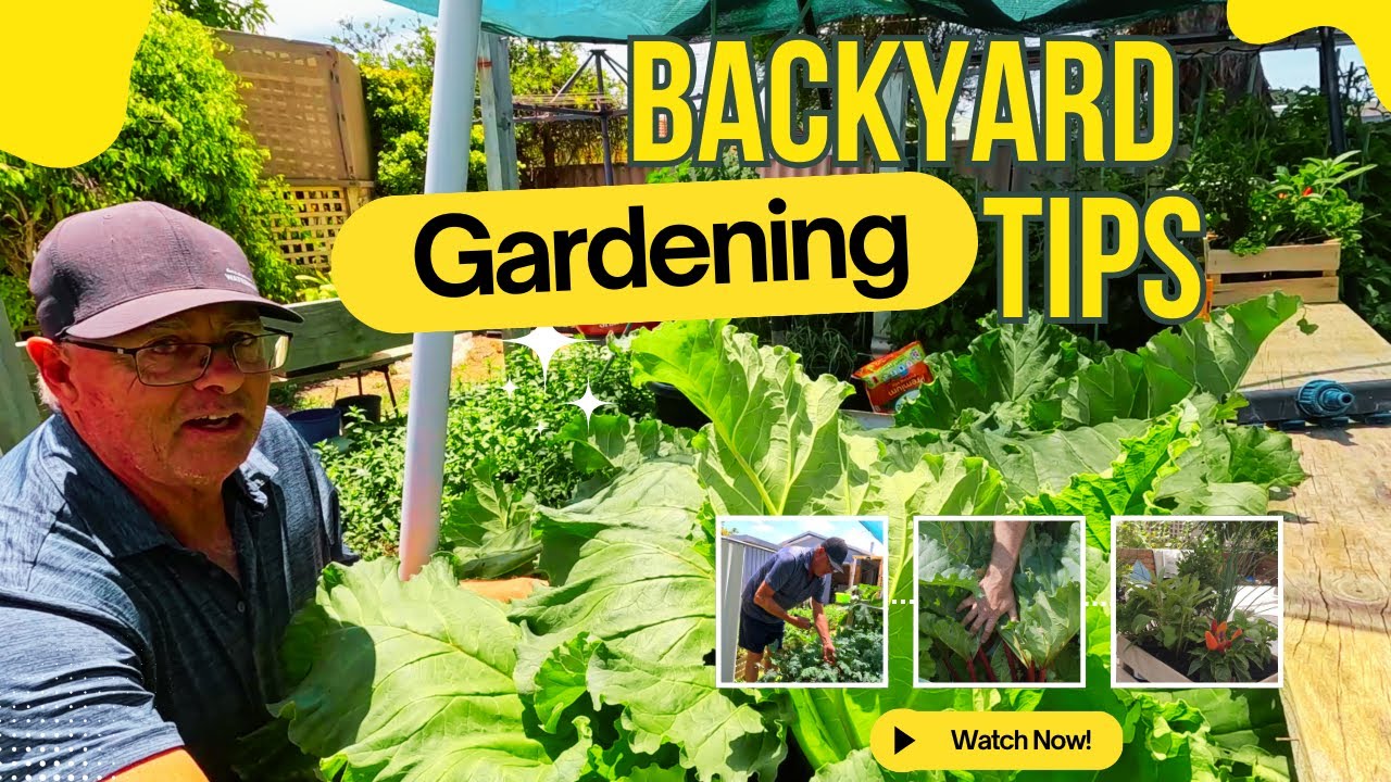 Watch How Our Garden Grows |The Ultimate Camper Herb Box