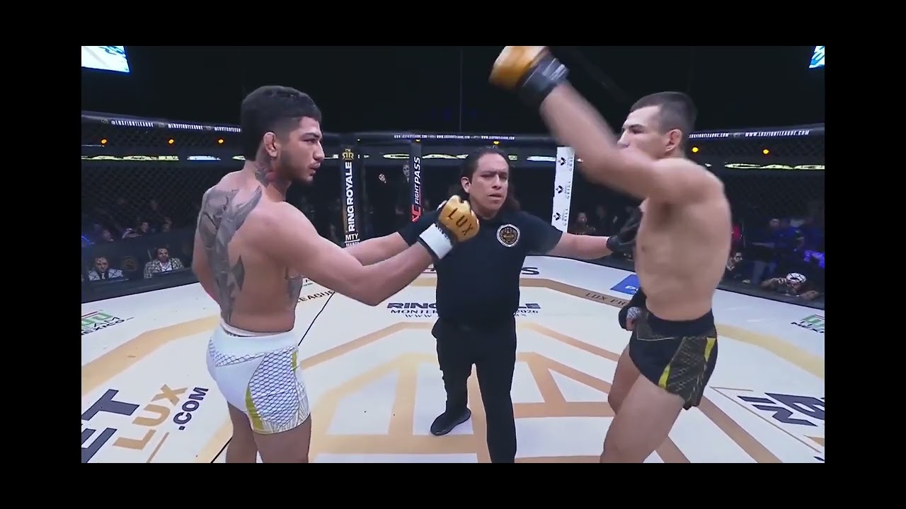 Lux058 Anaconda Choke🤙⚔️🇨🇴☠️🐍