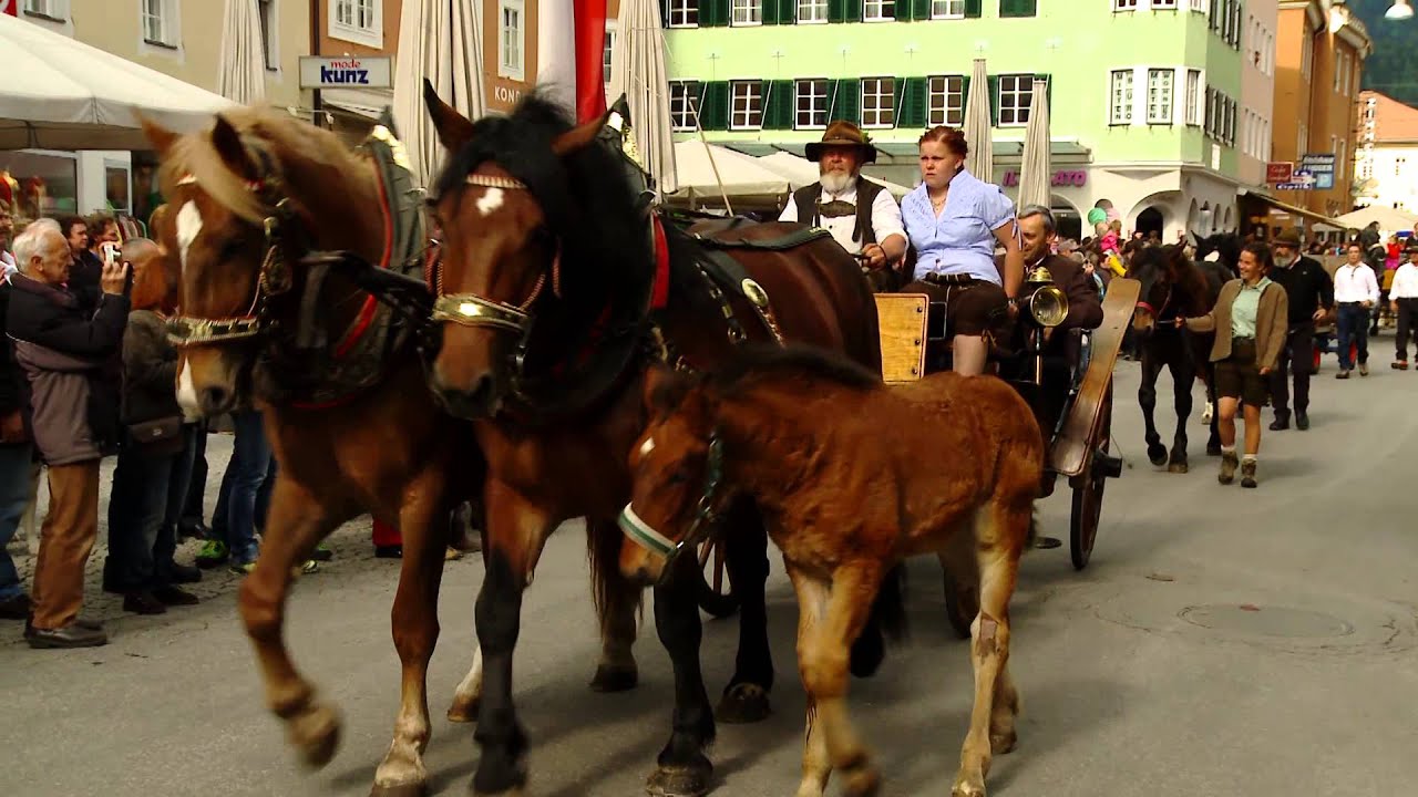 Norikerschau Lienz 2014