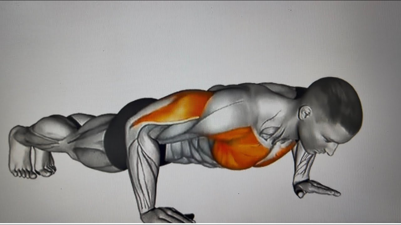 The best push up and abs workout for beginners#pushups #absworkout #homeworkout 
