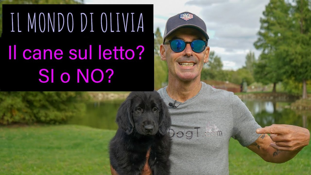 Il cane sul letto? Si o No? Il mondo di Olivia