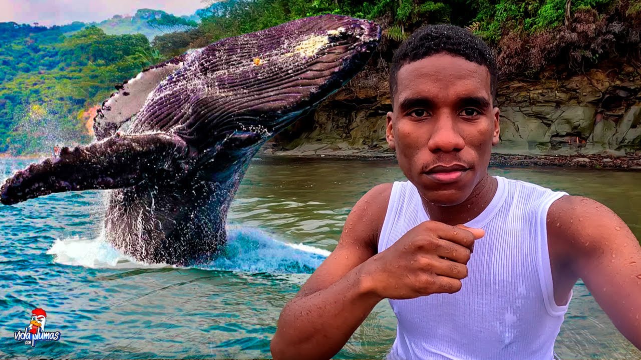 Día de aventura 3 - Fui a ver Ballenas Jorobadas 🐋 ¡Impresionante!