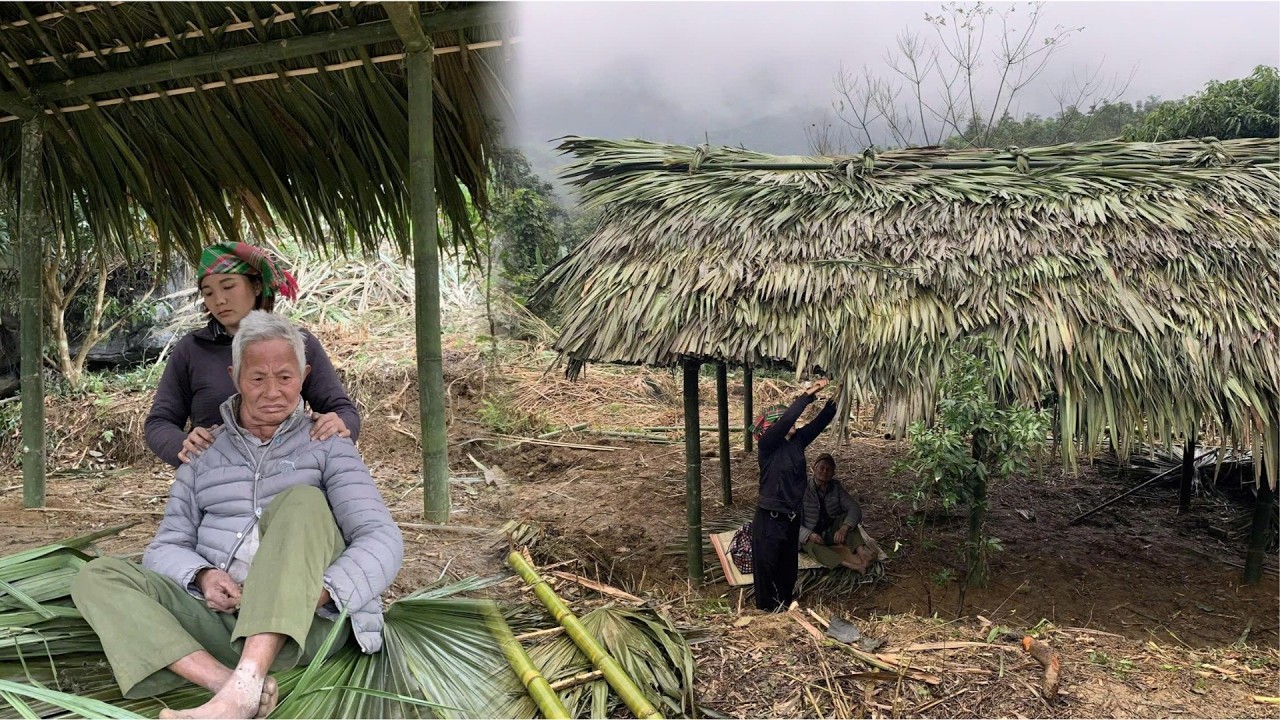 The Journey of Building a Dream Bamboo House Alone with Her 80-Year-Old Paralyzed Father