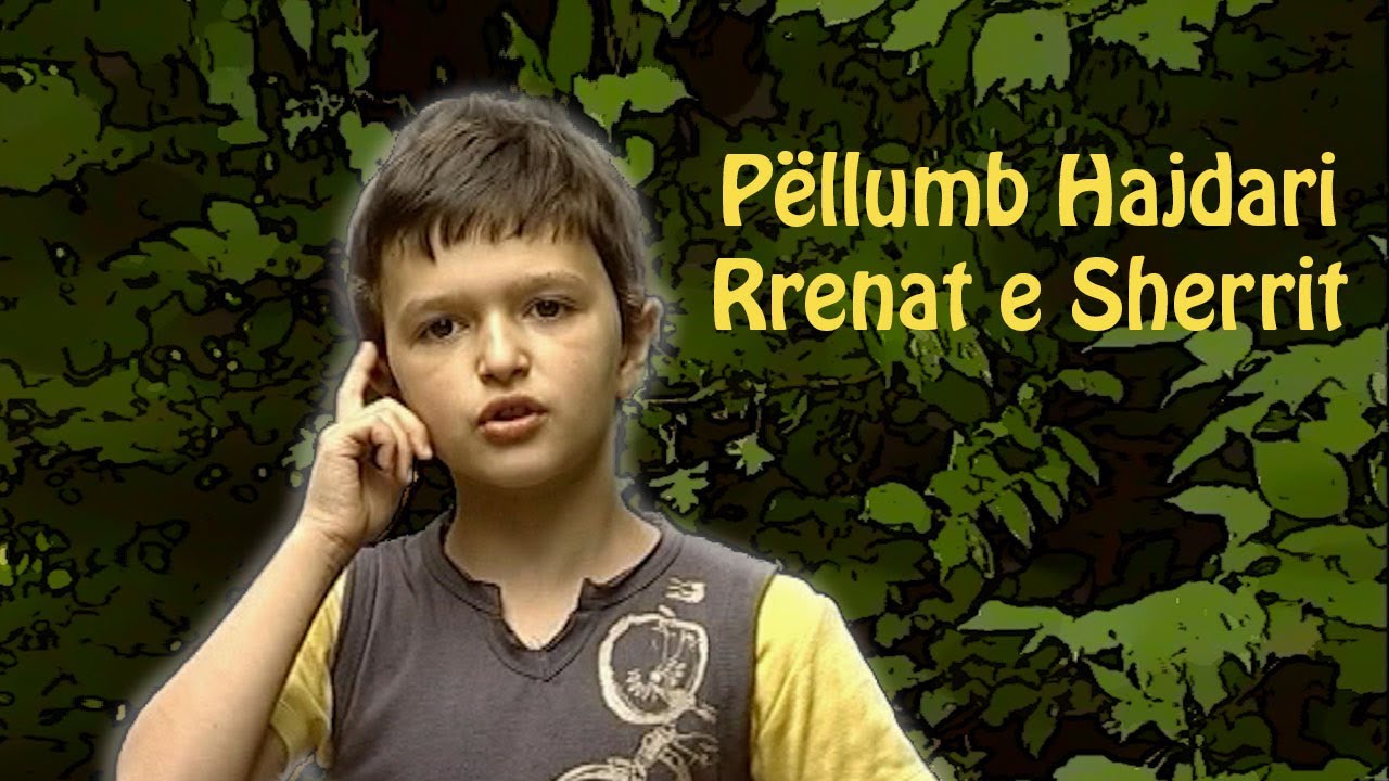 Pellumb Hajdari - Rrenat e sherrit HD