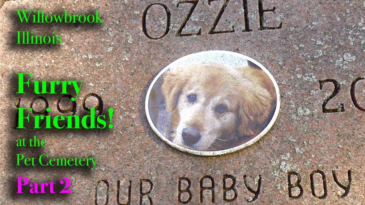Furry Friends at the Hinsdale Pet Cemetery - PART 2 - CATS AND DOGS