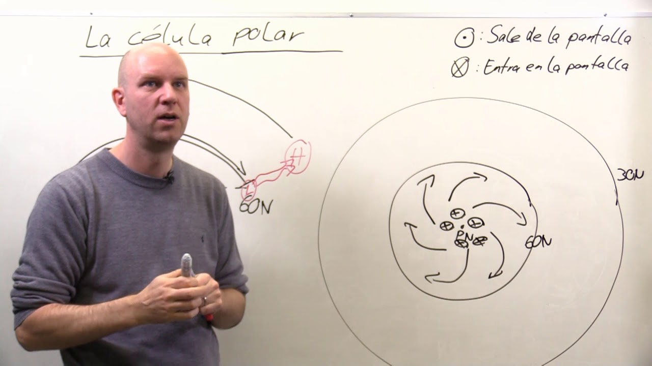 La Célula Polar