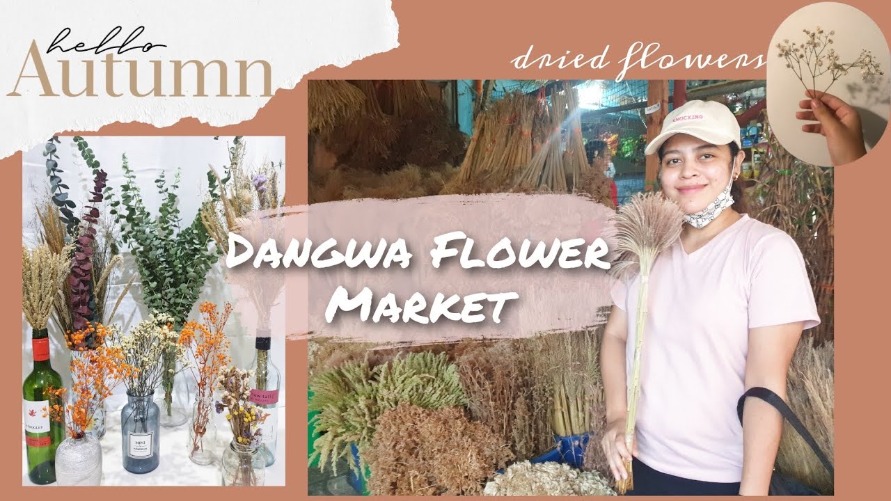 Vlog: Murang Dried Flowers Sa Dangwa Market
