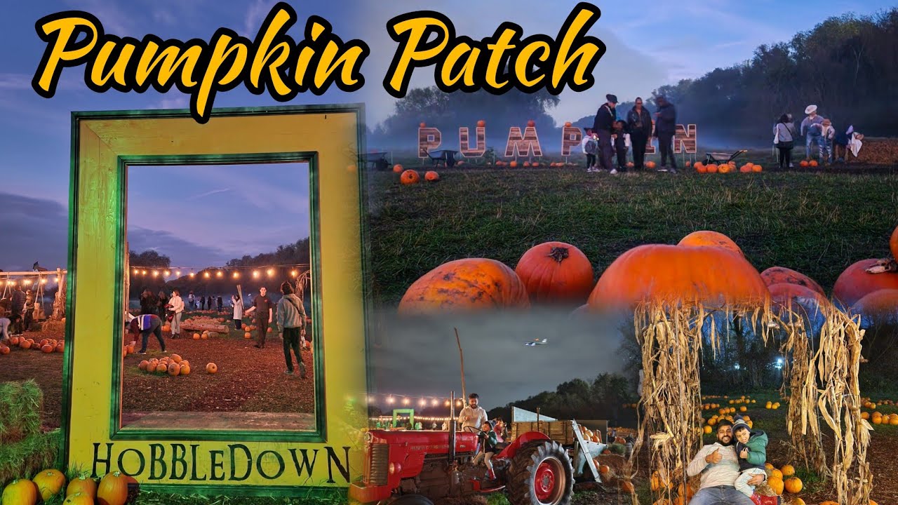 Pumpkin Patch 🎃  at Hobbledown Heath, Hounslow, London, Halloween, Kids