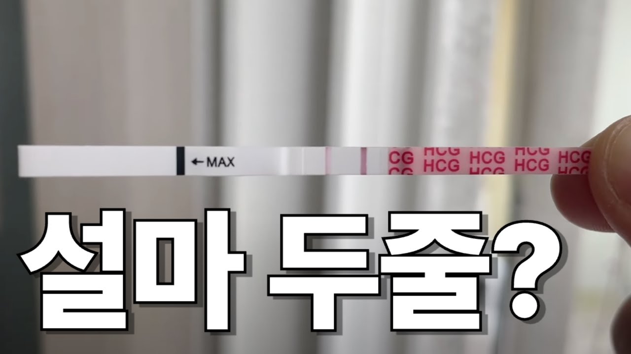 [임신준비 16편] 시험관 2차, 설마 두줄..?! 시험관 동결배아 이식 당일, 이 후 증상, 1,2차 피검사 수치