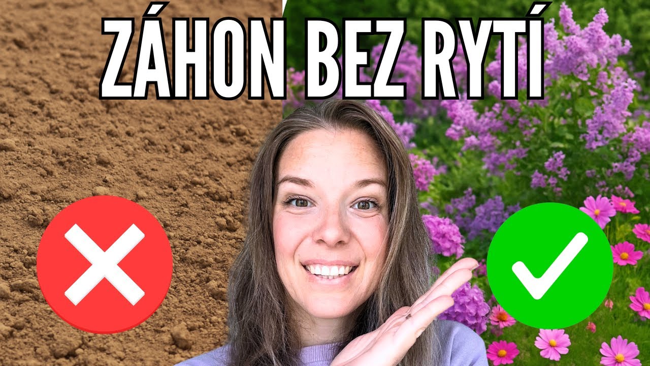 Jak založit záhon bez rytí | Jednoduchý způsob s kartonem (permakultura, mulčování) 🌱📦