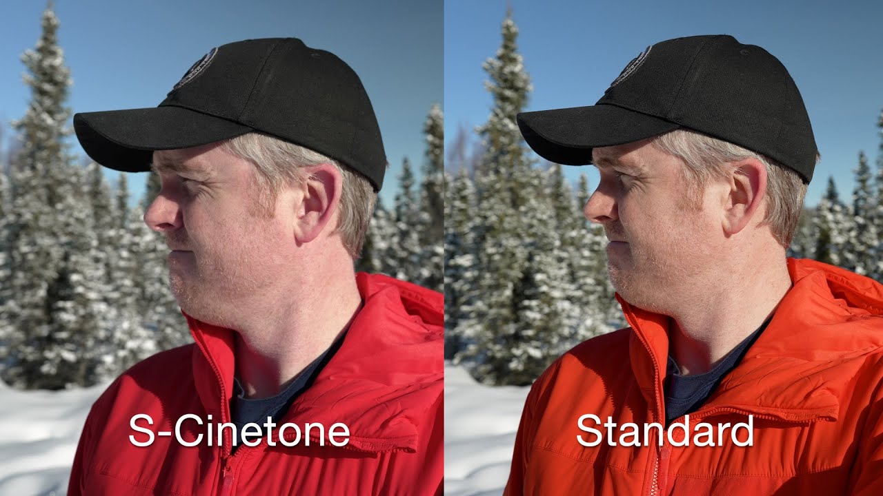 Sony a7s iii s-cinetone vs standard: Sony color compared