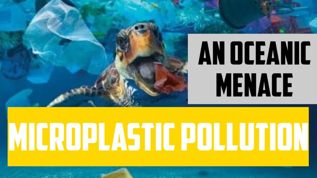 Are Microplastics in Our Water Becoming a Macroproblem? |microplastics in the ocean