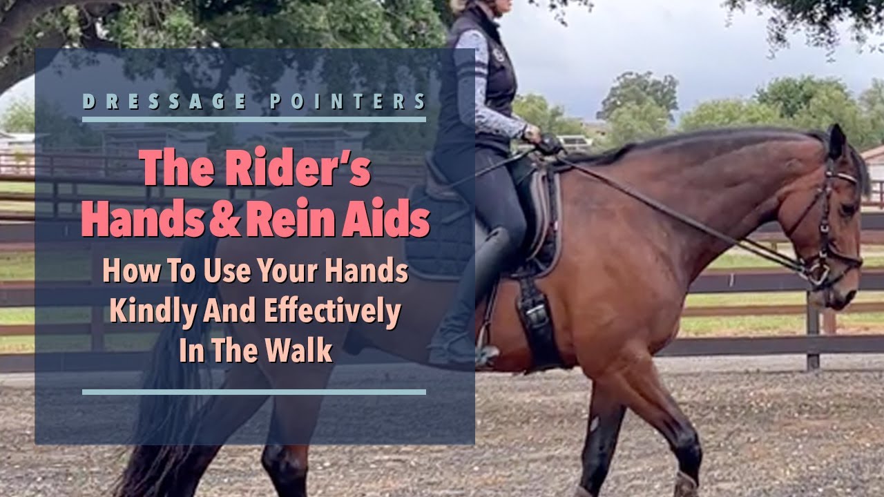 The Rider’s Hands & Rein Aids: How To Use Your Hands Kindly and Effectively In The Walk
