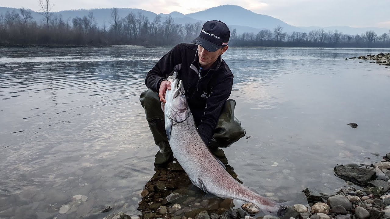 105 cm of wild beauty - Drina - Mladica - Huchen
