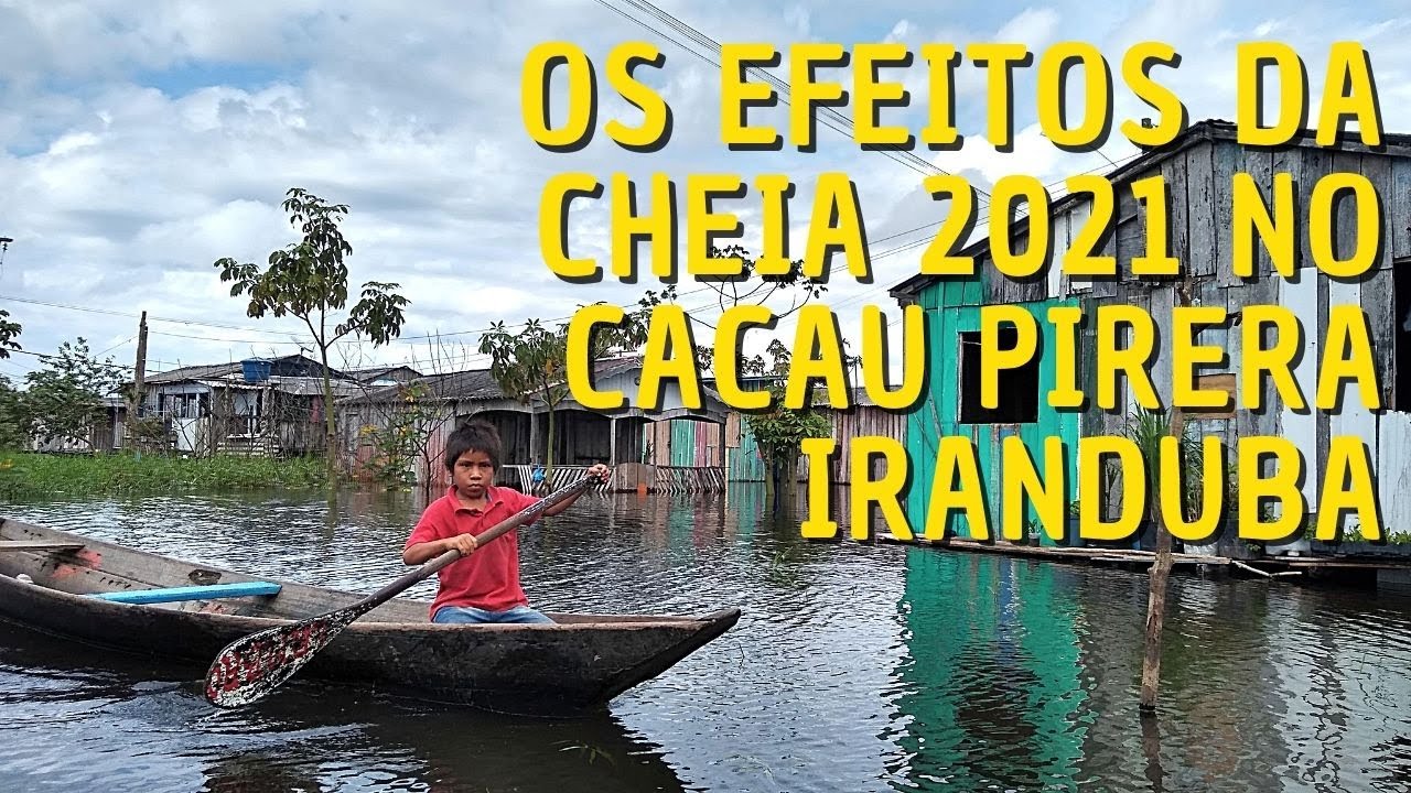 Os Efeitos da Cheia do Rio Negro no Cacau Pirera, a Veneza do Amazonas I Destinos da Amazônia