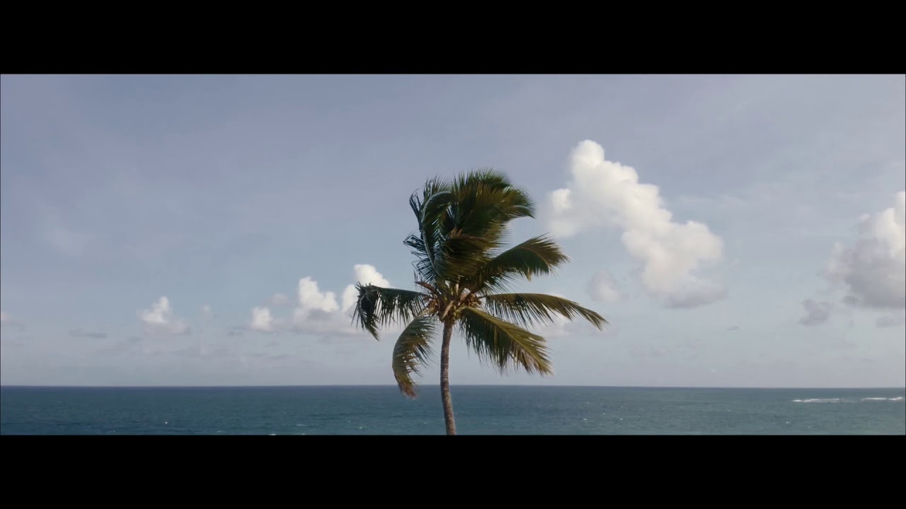 Conhe&ccedil;a o seu novo ref&uacute;gio &agrave; beira-mar de Muro Alto